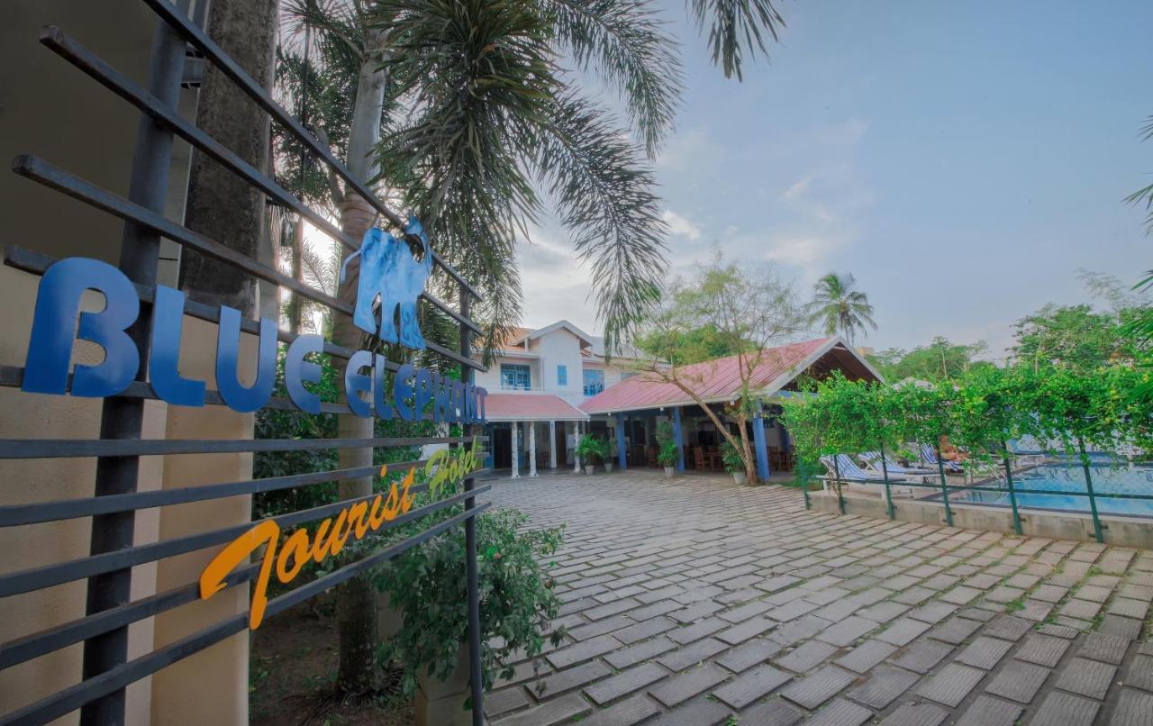 Blue Elephant Boutique Hotel Negombo Exteriör bild